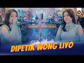 Download Lagu SHINTA ARSINTA - DIPETIK WONG LIYO ( Official Live Video Royal Music )