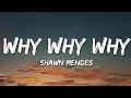 Download Lagu Shawn Mendes - Why Why Why (Lyrics)