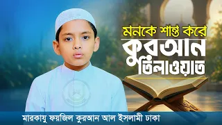 মনকে শান্ত করে কুরআন তেলাওয়াত | Beautiful Quran Recitation | মারকাযু ফয়জিল কুরআন
