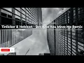 Tinlicker & Helsloot - Because You Move Me Remix
