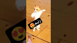 حسب الطلب الحلوة رنيم الجزائر العراق Maroc مصر قطر الكويت السعودية Shorts المغرب 