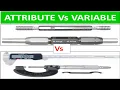 Attribute Vs Variable MSA LEARN WITH ME