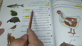 علوم الصف الرابع ابتدائي صفحة 44 الحيوانات المركبة الأسماك البرمائيات الزواحف الطيور اللبائن 
