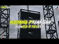 Download Lagu DJ Mojang Priangan ( Slowed \u0026 Reverb )