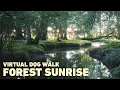 Download Lagu [NO ADS] Dog TV for Dogs to Watch 🐕 Virtual Dog Walk in Ancient Woodland 🌅 Binaural Nature Sounds