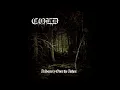 Download Lagu COLD - From Beyond the Darkest Forest