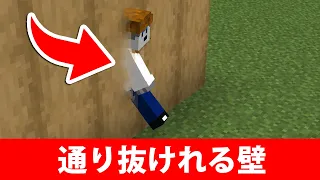 【マイクラ建築】全ブロックで可能!通り抜けられる壁の作り方(JAVA/統合版対応) | Secret Wall
