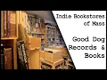 Good Dog Records and Books in Newton MA - Exploring Independent Bookstores