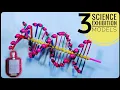 Download Lagu 3 Easy DNA MODEL PROJECT Ideas | Science Exhibition Models |
