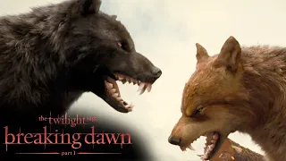 Download 'Jacob Chooses Bella Over His Pack' Scene | The Twilight Saga: Breaking Dawn - Part 1 MP3