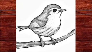 Easy Bird Drawing | How to draw a Bird Scenery Step By Step | Scenery Drawing Bird drawing