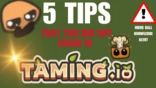 TOP 5 TIPS AND TRICKS THAT YOU NEVER KNEW IN TAMING IO