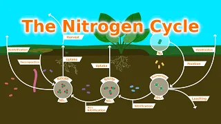 Download Understanding Our Soil: The Nitrogen Cycle, Fixers, and Fertilizer MP3