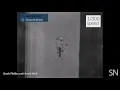 Download Lagu Watch Saharan silver ants run | Science News