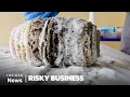 How People Hunt Invasive Pythons And Turn Their Skin Into Leather Risky Business