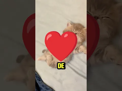 Lo Que Este Perro Hacía Con el Pescado Sorprendió a Todos ❤️