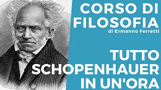 Tutto Schopenhauer in un'ora