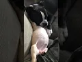 ANGELINE VARONA ANGIEVARONA INSTAGRAM STORIES COMPILATION OCTUBRE 15 2018