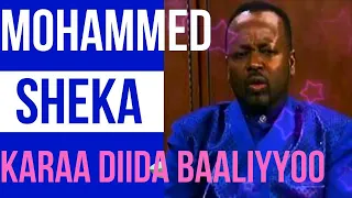 Mohammed Sheka Karaa Diida Baaliyyoo Oromo Music 