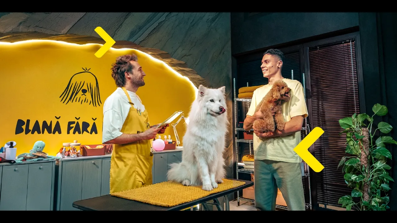 Raiffeisen Bank Romania — Raiffeisen Bank — GatadeBusiness (YouTube video ad)