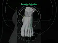 Foot Rig corrective joints