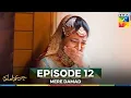Download Lagu Mere Damad Episode 12