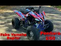 Pentora 250 I Bought the WORLDS Cheapest Fake Yamaha Raptor 250