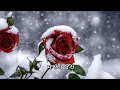 겨울아이(이종용)
