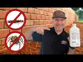 Most Effective Pest Control Treatment Nobody Talks About