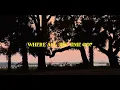 Dr. Dog | Where All The Time Go - Tradução (Outer Banks)