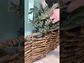 EASTER Table Decor