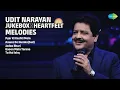 Lagu Udit Narayan Songs | Pyar Ki Kashti Mein | Aawaz Do HumkoSad | Jadoo Bhari | Tu Hai Ishq