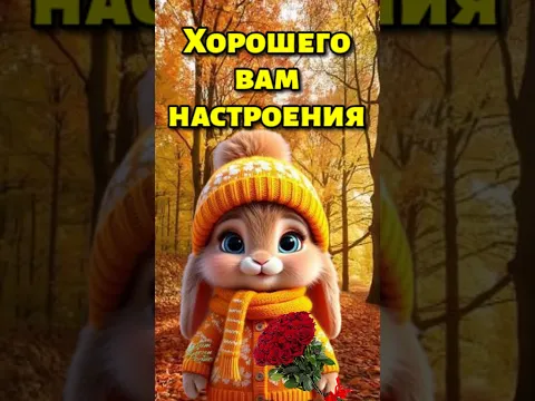 Доброго и благословенного вам утра! #shortsfeed #shorts