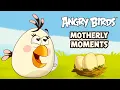 Angry Birds Toons Matilda s Motherly Moments