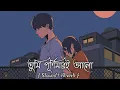 Download Lagu Tumi Purnimari Alo | Bangla 1 (Slowed+Reverb)