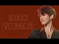 EXO vines that are not salty man