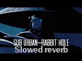Download Lagu Sub Urban~RABBIT HOLE (𝕊𝕃𝕆𝕎𝔼𝔻// ℝ𝔼𝕍𝔼ℝ𝔹)