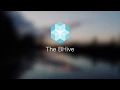 The BHive