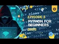 If Else Elif in Python Explained for Beginners Python Programming in