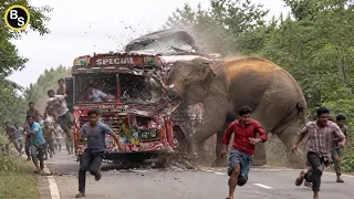 25 Most Terrifying Wild Elephant Encounters Caught on Camera