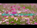 Download Lagu Bỗng dưng tội nghiệp ! | Bản viết lại | Truyện ngắn
