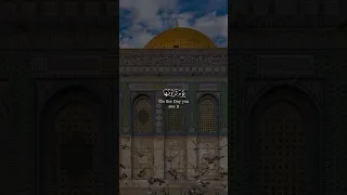 يا أيها الناس اتقوا ربكم إن زلزلة الساعة من سورة الحج بصوت الشيخ أحمد الشافعي 
