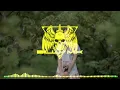 Download Lagu LAGU_VIRAL_ZHEKO_GANG_(BILLY MIX)_NWRMX!!!