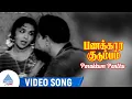Lagu Parakkum Panthu Video Song | Panakkara Kudumbam Movie Songs | MGR | Saroja Devi