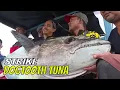 Download Lagu Berburu Ikan Monster Di Laut Sangatta | MANCING MANIA STRIKE BACK (12/08/23) Part 1