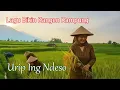 Lagu Lagu Bikin Kangen Kampung - URIP ING NDESO - AIman