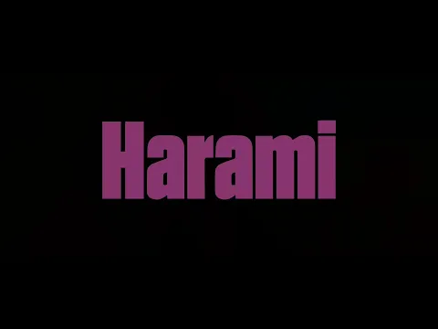 #BIFF2020 New Currents - Harami / 뉴 커런츠 - 하라미