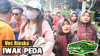 Download ANDI PUTRA 1 Iwak Peda Voc Rieska Live Cicinde Karawang Tgl 18 Februari 2023 MP3