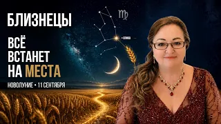 Близнецы Новолуние 11.9 Появляется и азарт зарабатывать, и поводы тратить — причём тратить на дом