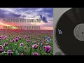 PARUPARO  ( lyrics ) - SUGARCANE, JC Herrero